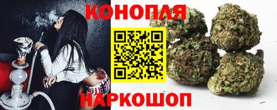МДПВ Новокубанск