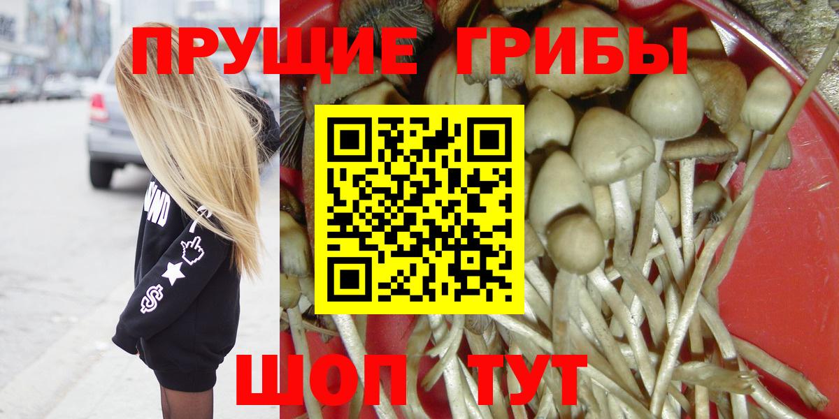 Галлюциногенные грибы Magic Shrooms  Псилоцибиновые грибы GOLDEN TEACHER  Урус-Мартан  Вход с VPN 