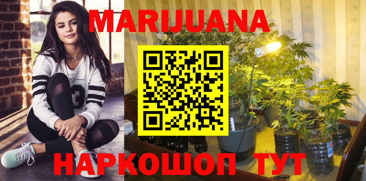 Бошки марихуана индика  Каннабис VHQ  Бошки марихуана Ganja  МАРИХУАНА Amnesia  Вход с VPN  Урус-Мартан 